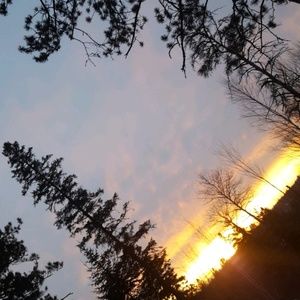 Meet your Posher, Sydney